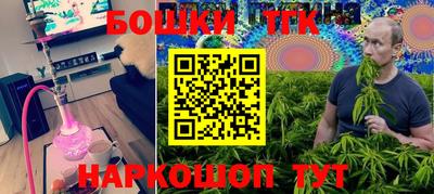 индика Будённовск